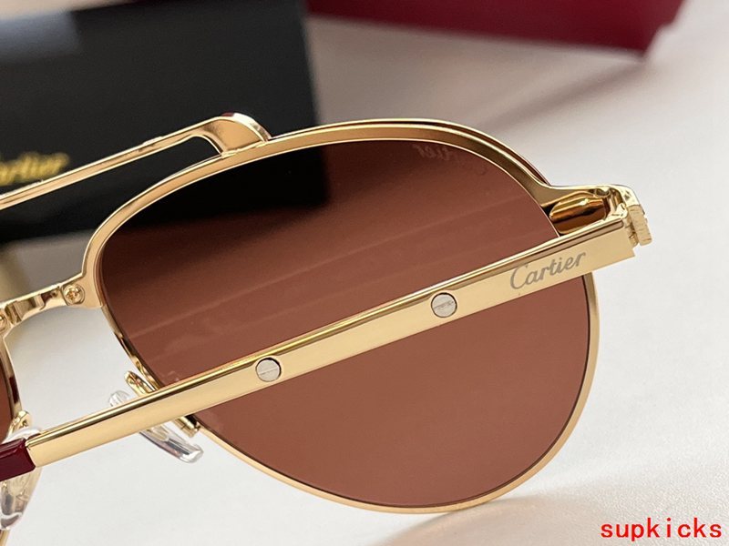 Close-up detail view of Cartier unisex sunglasses