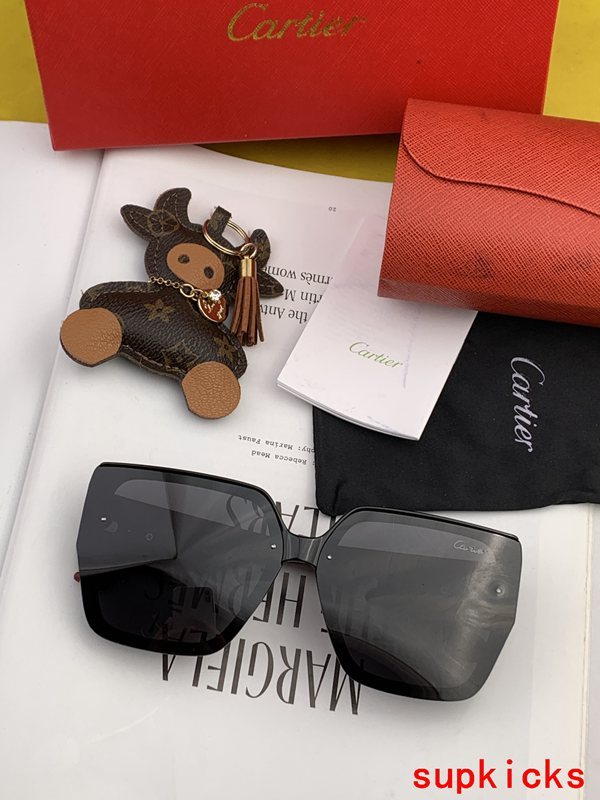 Lifestyle view of Cartier unisex sunglasses