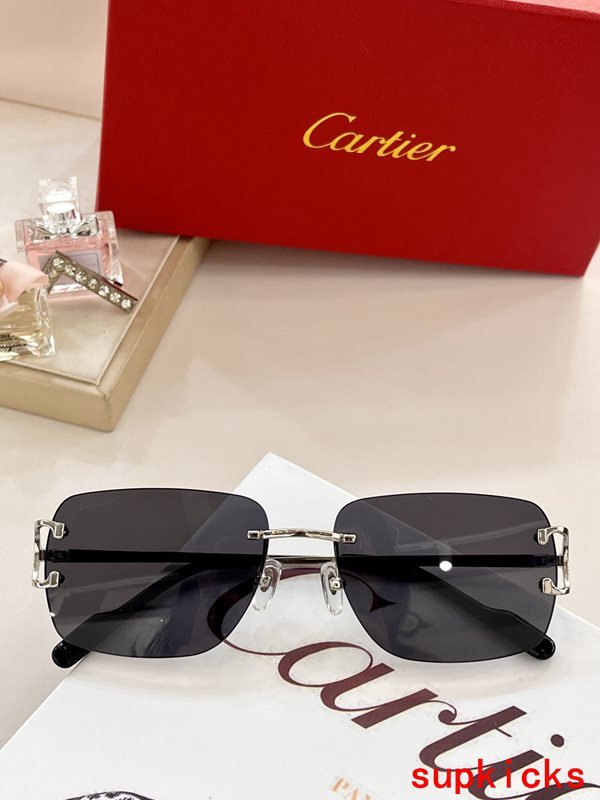 Full view of Cartier unisex sunglasses
