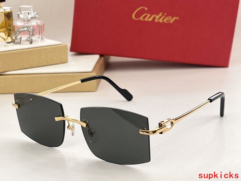 Front view of Cartier unisex sunglasses