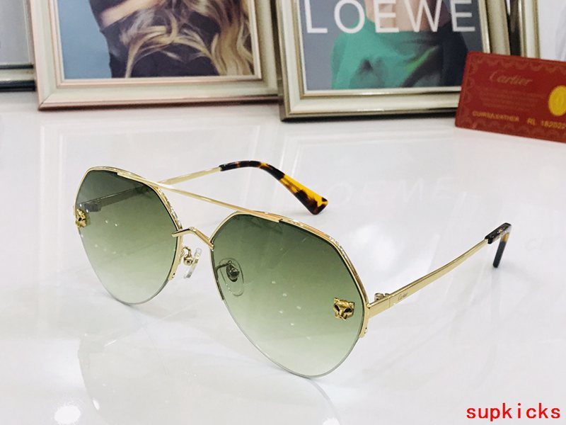 Full view of Cartier unisex sunglasses