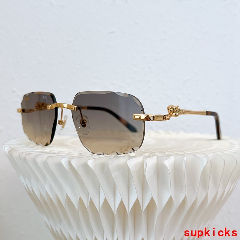 Angled view of Cartier unisex sunglasses