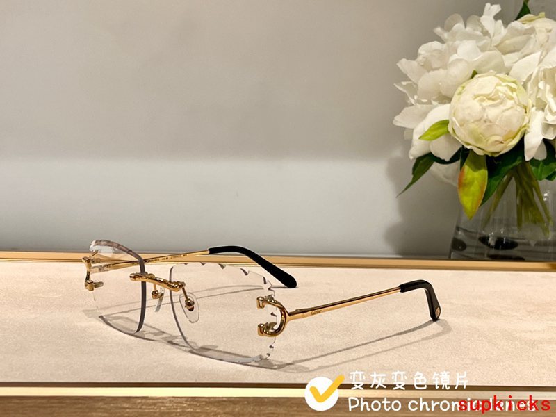 Lifestyle view of Cartier unisex sunglasses