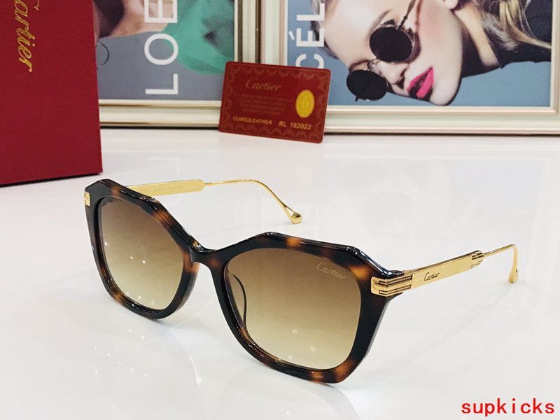Close-up detail view of Cartier unisex sunglasses