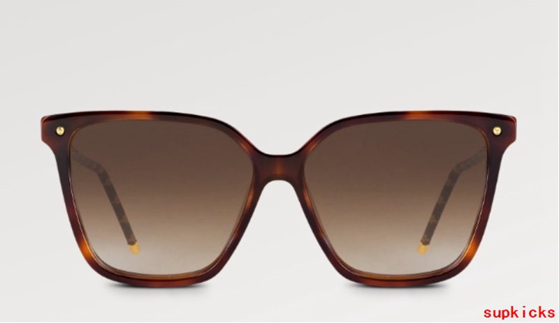 Front view of Louis Vuitton unisex sunglasses