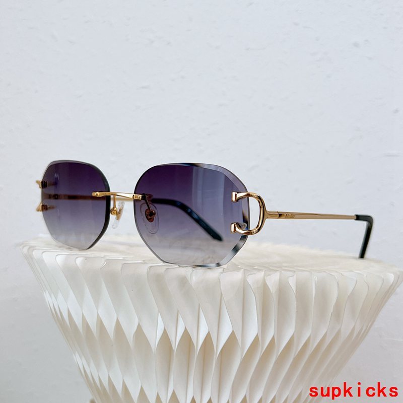 Full view of Cartier unisex sunglasses