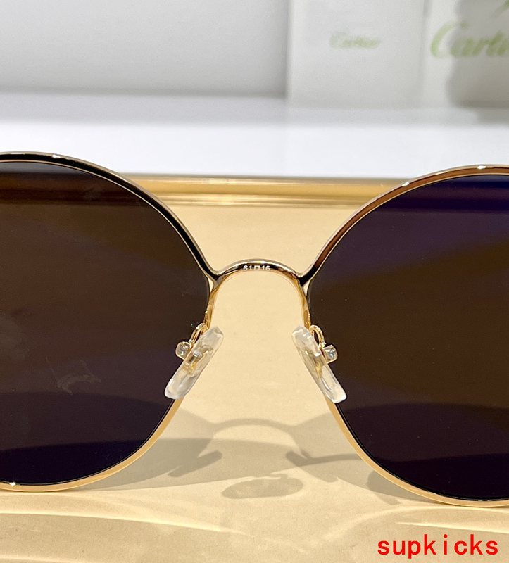 Side view of Cartier unisex sunglasses