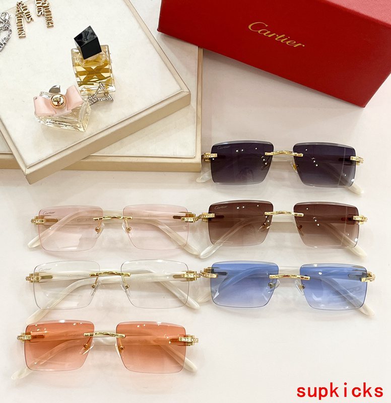 Close-up detail view of Cartier unisex sunglasses