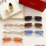 Close-up detail view of Cartier unisex sunglasses