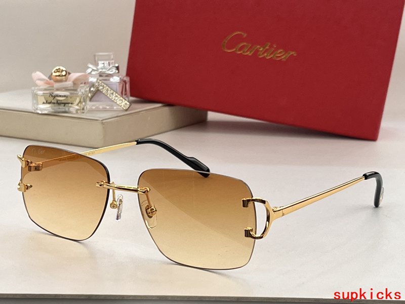Full view of Cartier unisex sunglasses