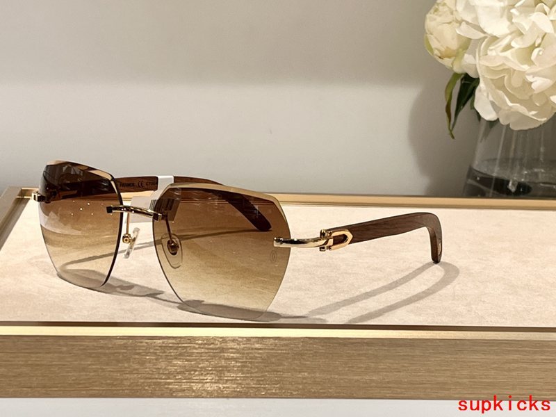 Front view of Cartier unisex sunglasses