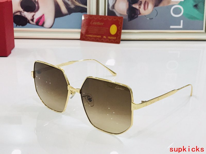 Close-up detail view of Cartier unisex sunglasses