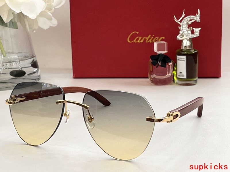 Side view of Cartier unisex sunglasses