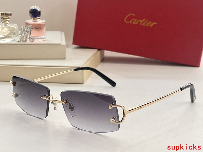 Close-up detail view of Cartier unisex sunglasses