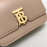 Ziva's Charm handbag – close-up view (one versatile size)