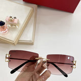 Lifestyle view of Cartier unisex sunglasses
