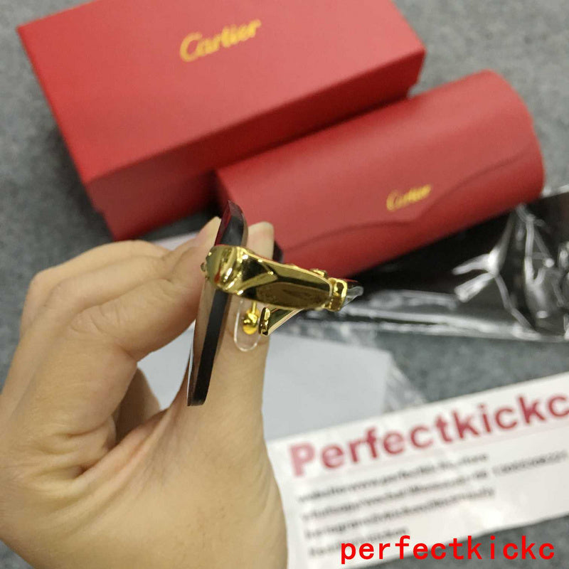 Full view of Cartier unisex sunglasses