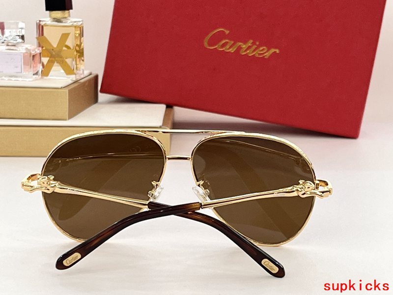 Side view of Cartier unisex sunglasses
