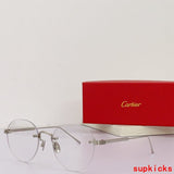 Full view of Cartier unisex sunglasses