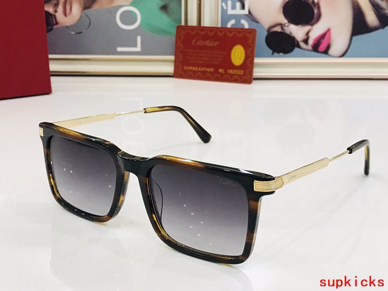 Side view of Cartier unisex sunglasses