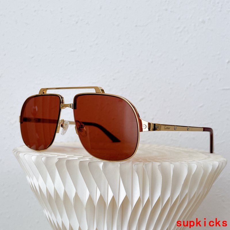 Close-up detail view of Cartier unisex sunglasses