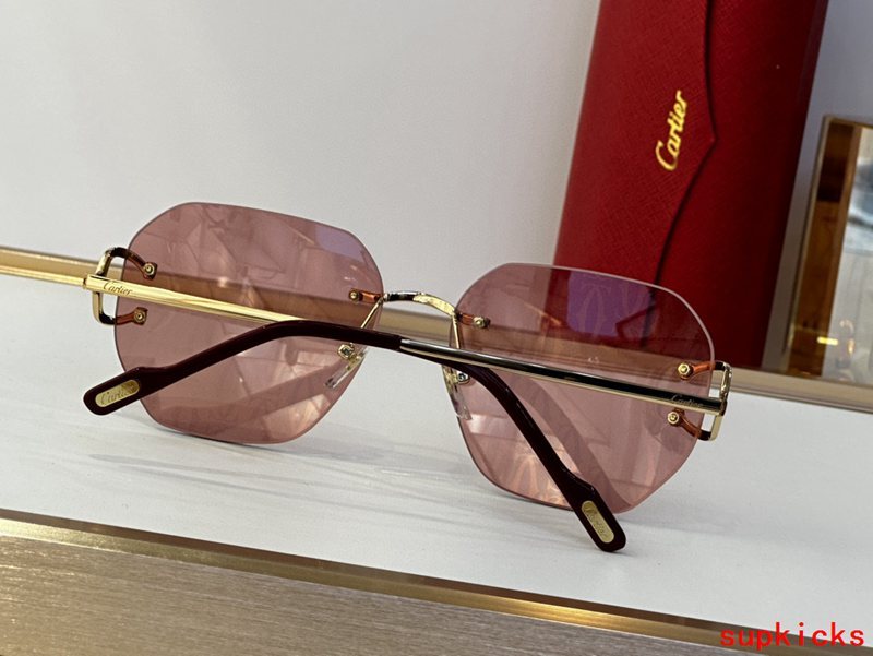 Close-up detail view of Cartier unisex sunglasses