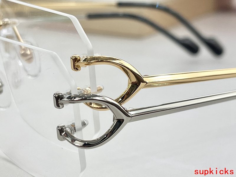 Close-up detail view of Cartier unisex sunglasses