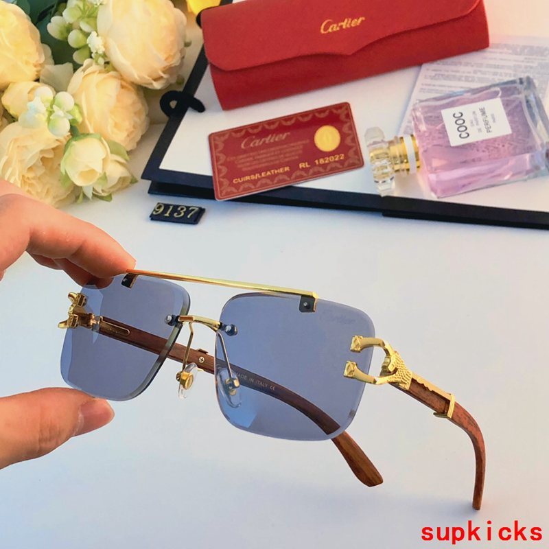 Close-up detail view of Cartier unisex sunglasses