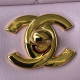  mid purse view 10
