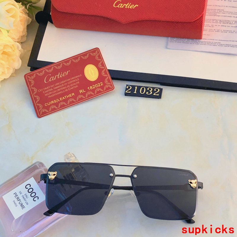 Side view of Cartier unisex sunglasses