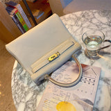  everyday bag interior and compartment view 9