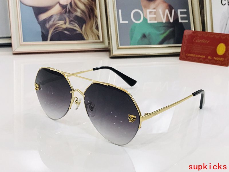 Front view of Cartier unisex sunglasses