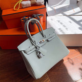  tote bag interior and compartment view 15