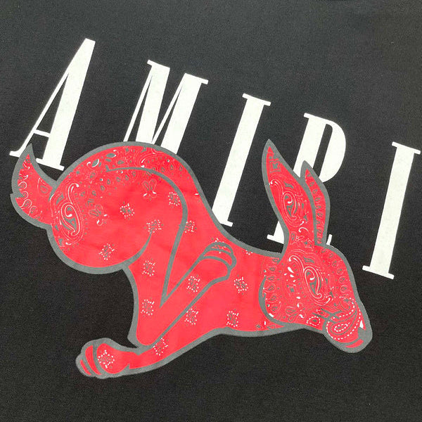 Amiri t-shirt back view — premium authentic designer style