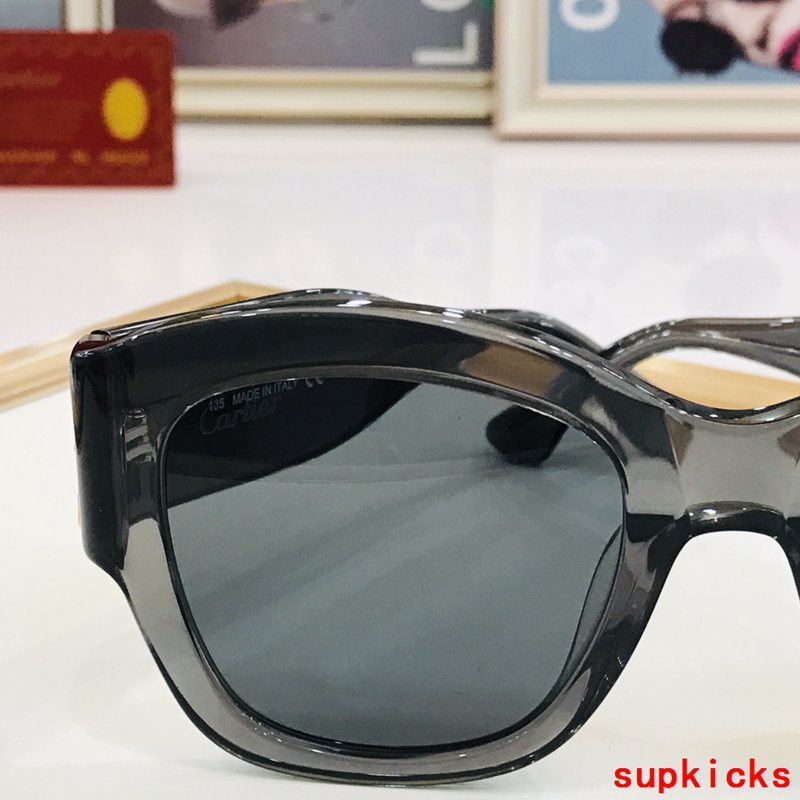 Side view of Cartier unisex sunglasses