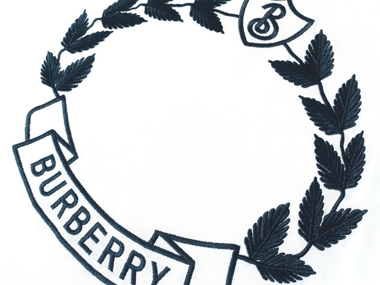 Burberry designer t-shirt full view