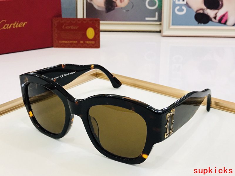 Close-up detail view of Cartier unisex sunglasses