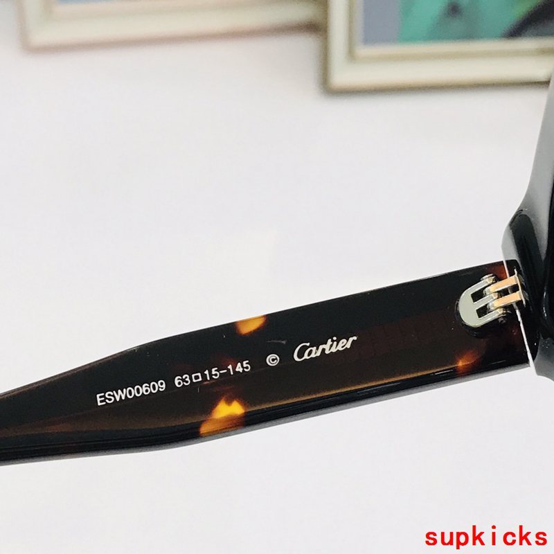 Close-up detail view of Cartier unisex sunglasses