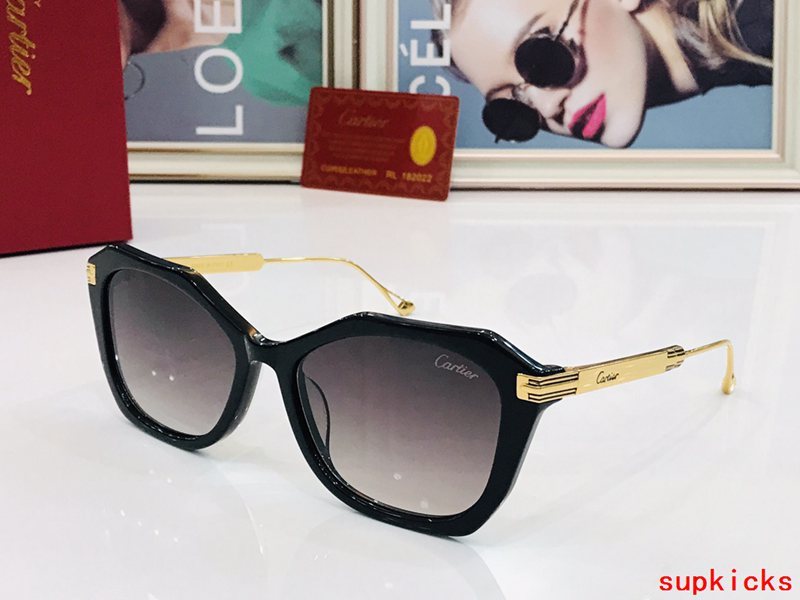 Side view of Cartier unisex sunglasses