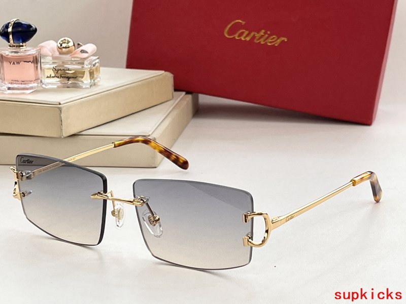 Close-up detail view of Cartier unisex sunglasses