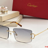 Close-up detail view of Cartier unisex sunglasses