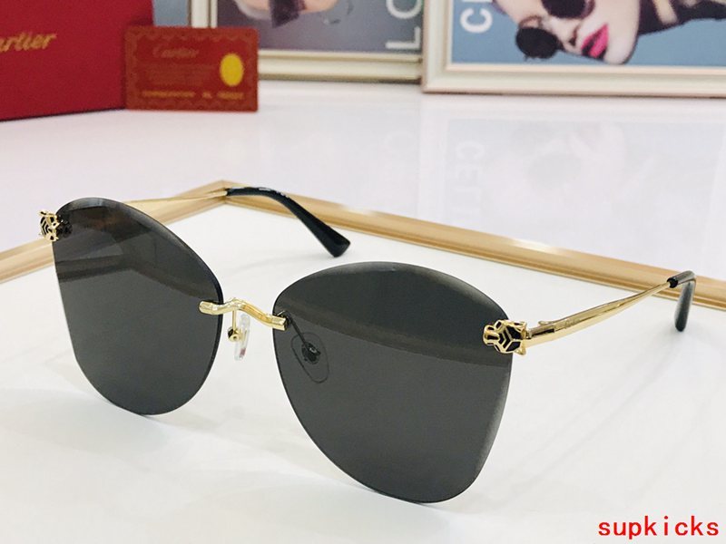 Side view of Cartier unisex sunglasses