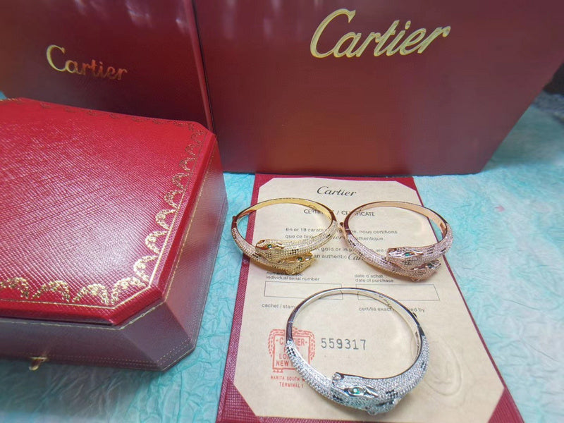 Side view of Cartier unisex jewelry piece