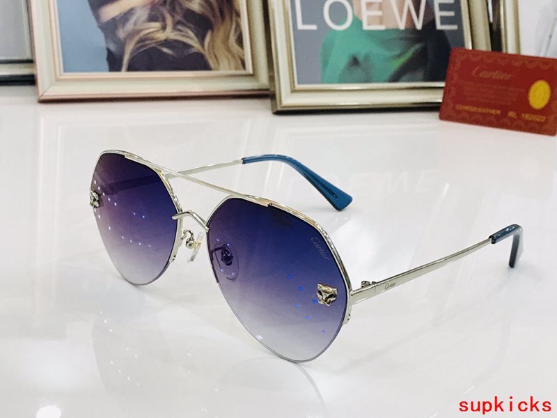Close-up detail view of Cartier unisex sunglasses