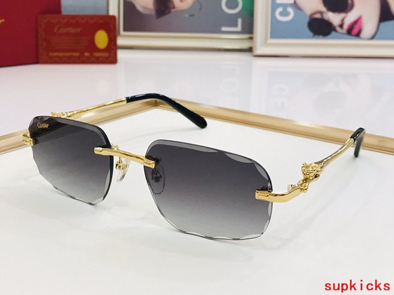 Side view of Cartier unisex sunglasses