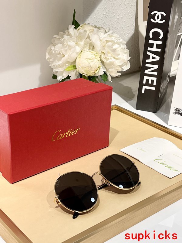 Side view of Cartier unisex sunglasses