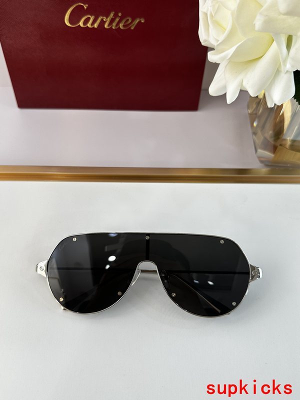 Front view of Cartier unisex sunglasses