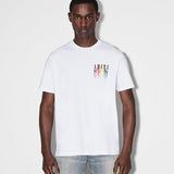 Amiri t-shirt side view — premium authentic designer style