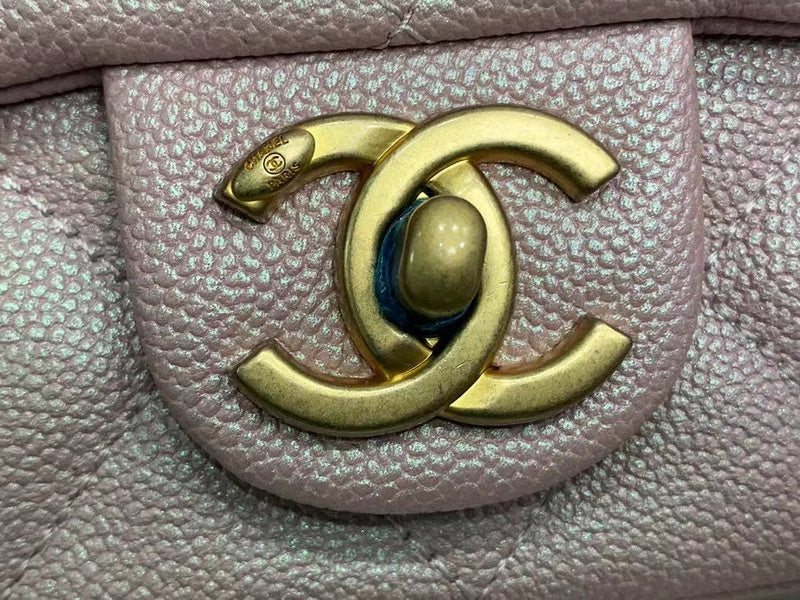Zivas Charm Polished Finish Fashion Handbag (Premium Everyday Carry) – Interior View