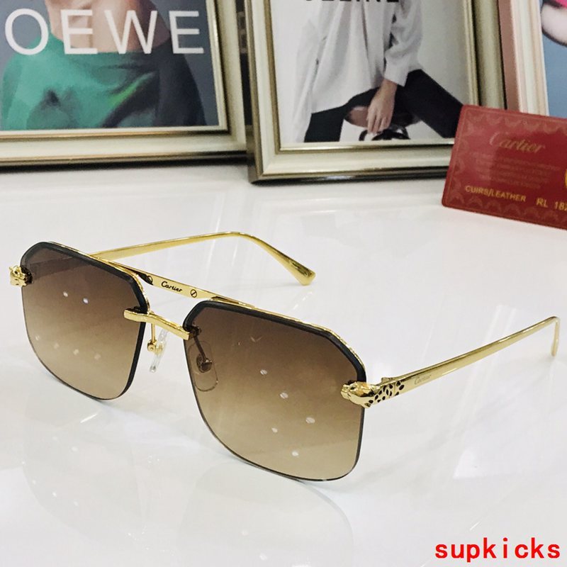 Close-up detail view of Cartier unisex sunglasses